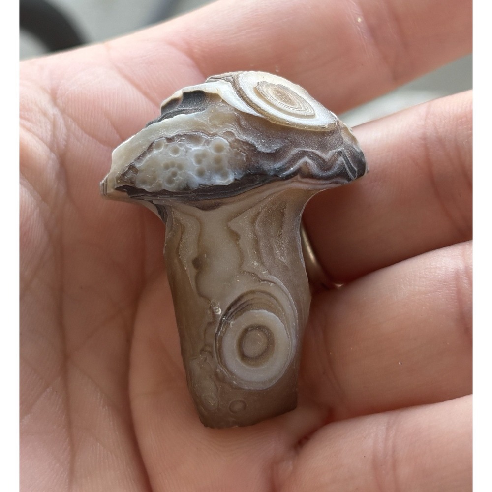 Crazy Lace Agate Mushroom Crystal Carving Natural Ridges Orbicular Eye Pattern
